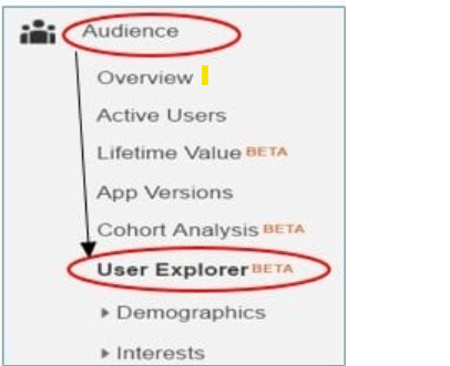 User explorer: Mobile App Views
